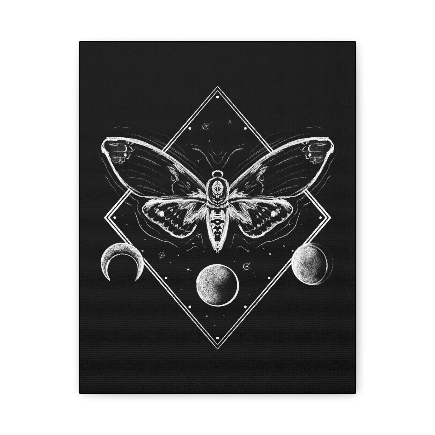 Moth and moon phases