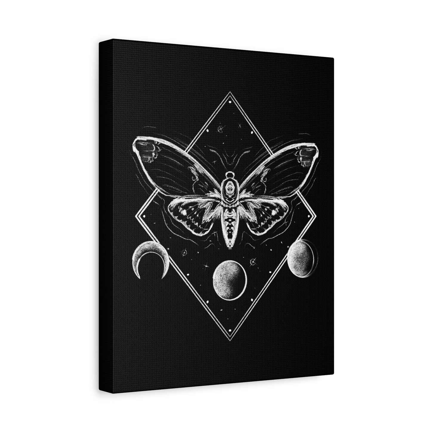 Moth and moon phases
