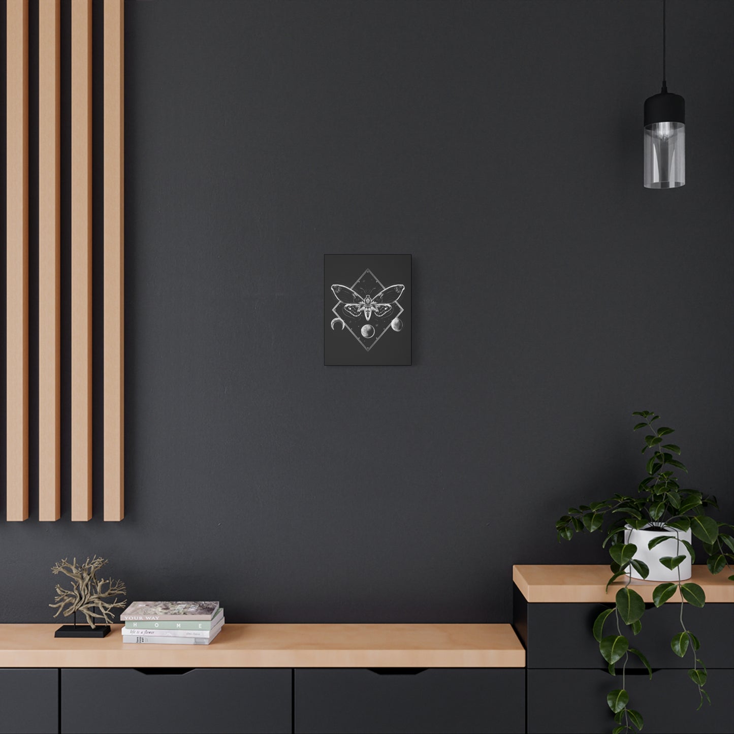 Moth and moon phases