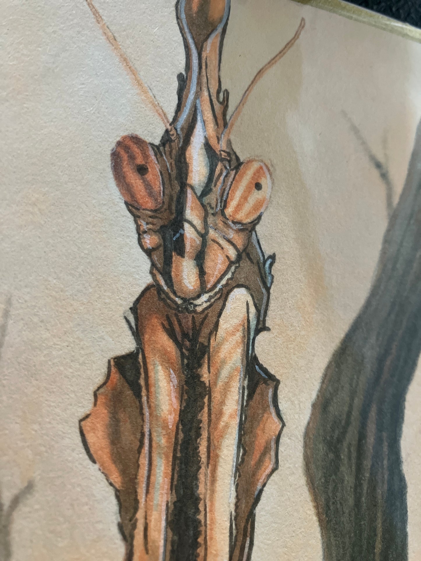 “Ghost mantis” - original painting