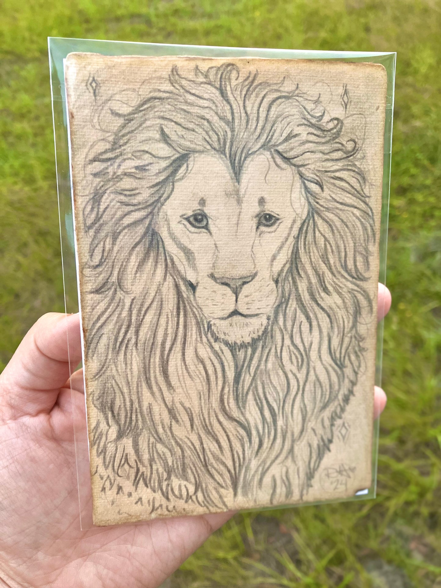 “His guidance” Lion art